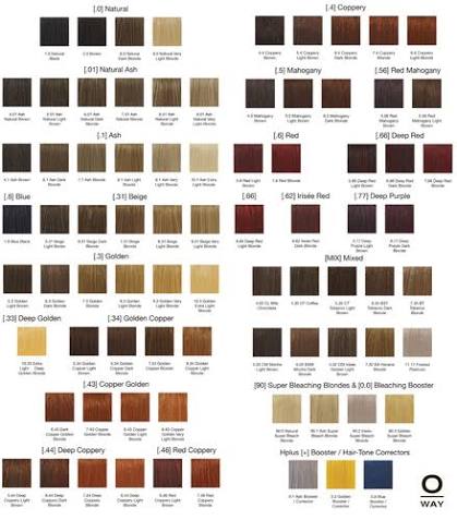 Oway Hcolor  Ammonia-Free